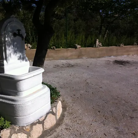 Igor Podgora (Split-Dalmatia)